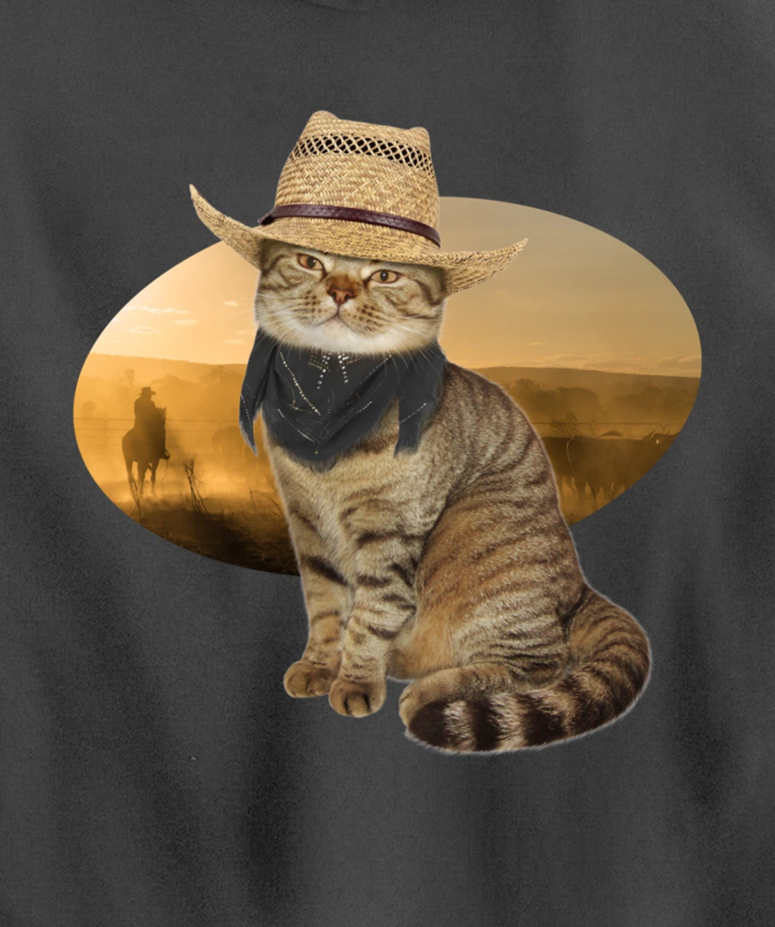 Western Mashup Funny Texas Cowboy Cat Pullover Hoodie