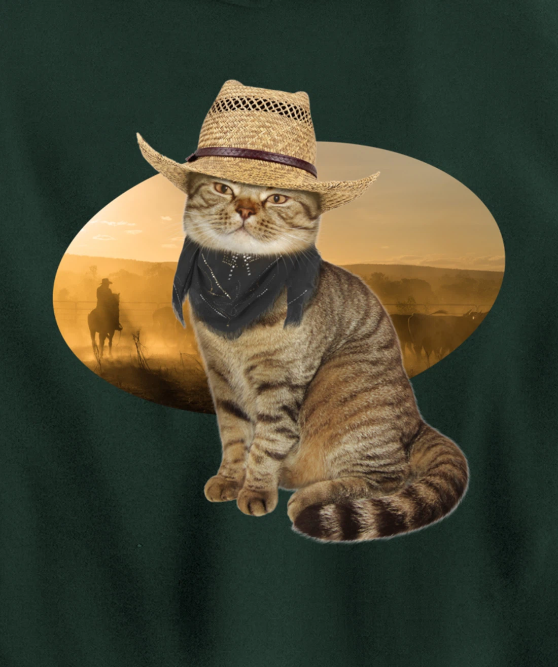 Western Mashup Funny Texas Cowboy Cat Pullover Hoodie