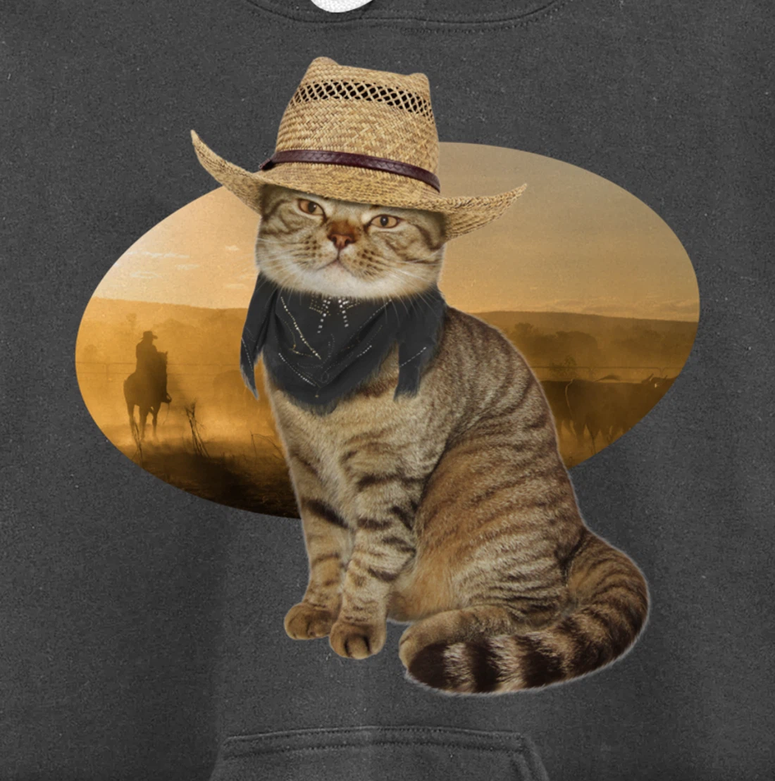 Western Mashup Funny Texas Cowboy Cat Pullover Hoodie