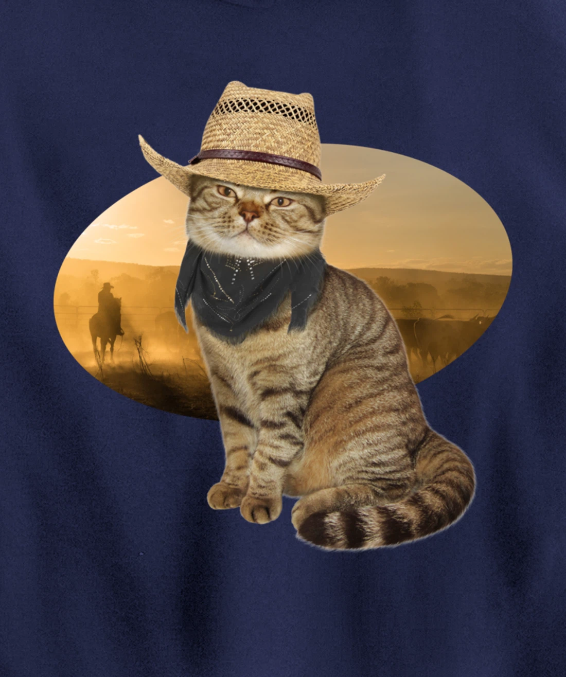 Western Mashup Funny Texas Cowboy Cat Pullover Hoodie