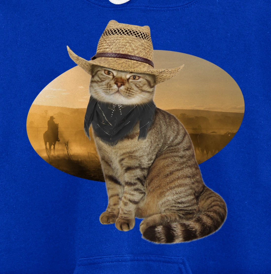 Western Mashup Funny Texas Cowboy Cat Pullover Hoodie