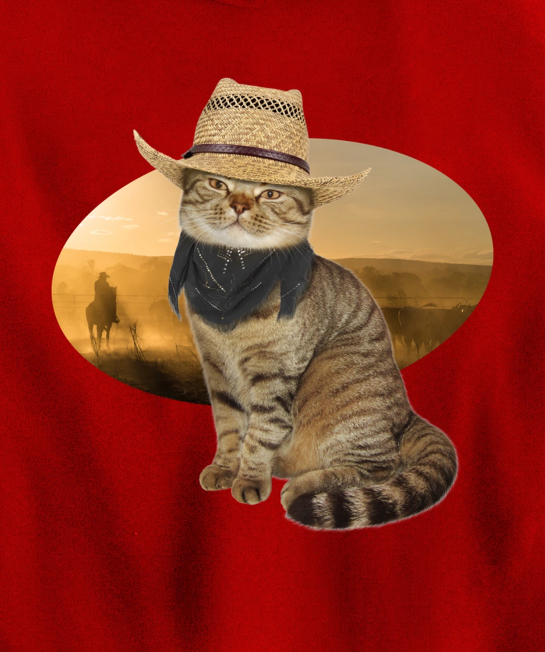 Western Mashup Funny Texas Cowboy Cat Pullover Hoodie