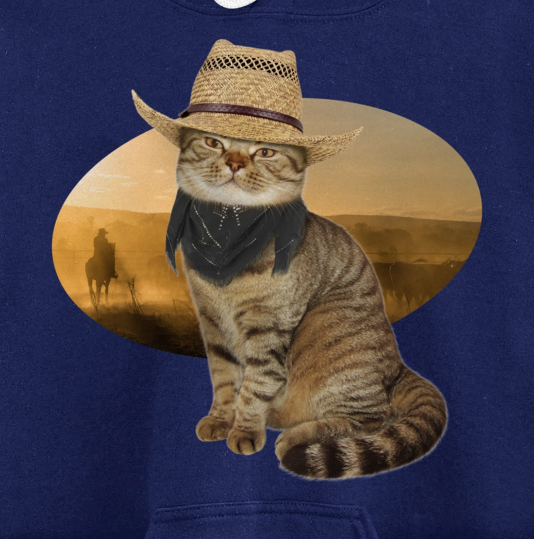 Western Mashup Funny Texas Cowboy Cat Pullover Hoodie