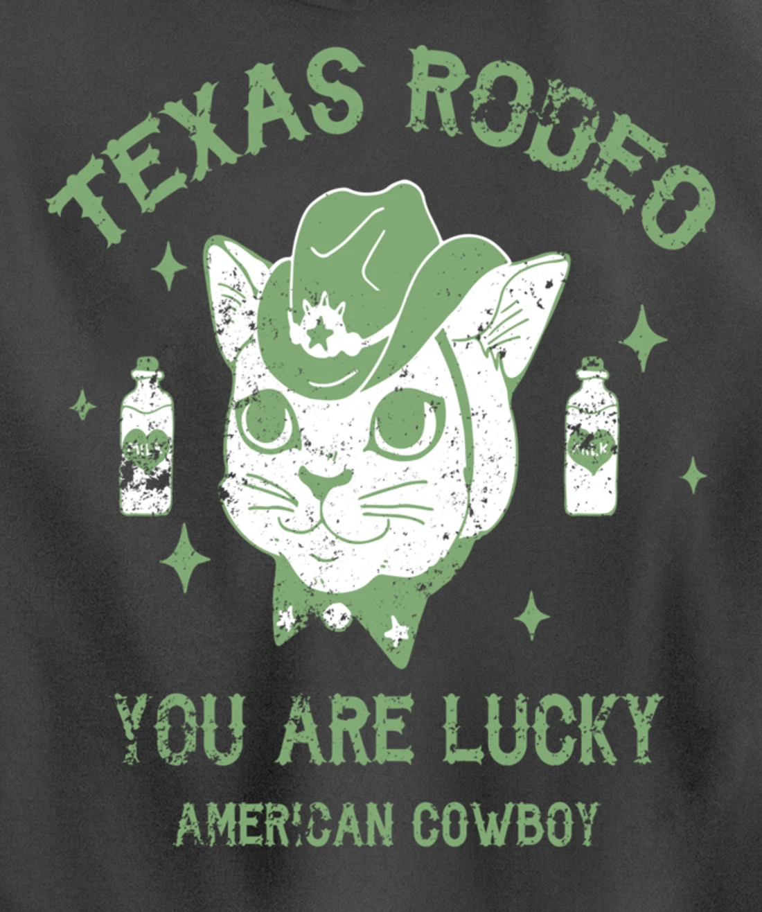 Texas Rodeo Cowboy Cat Modern Fashion Art Pullover Hoodie