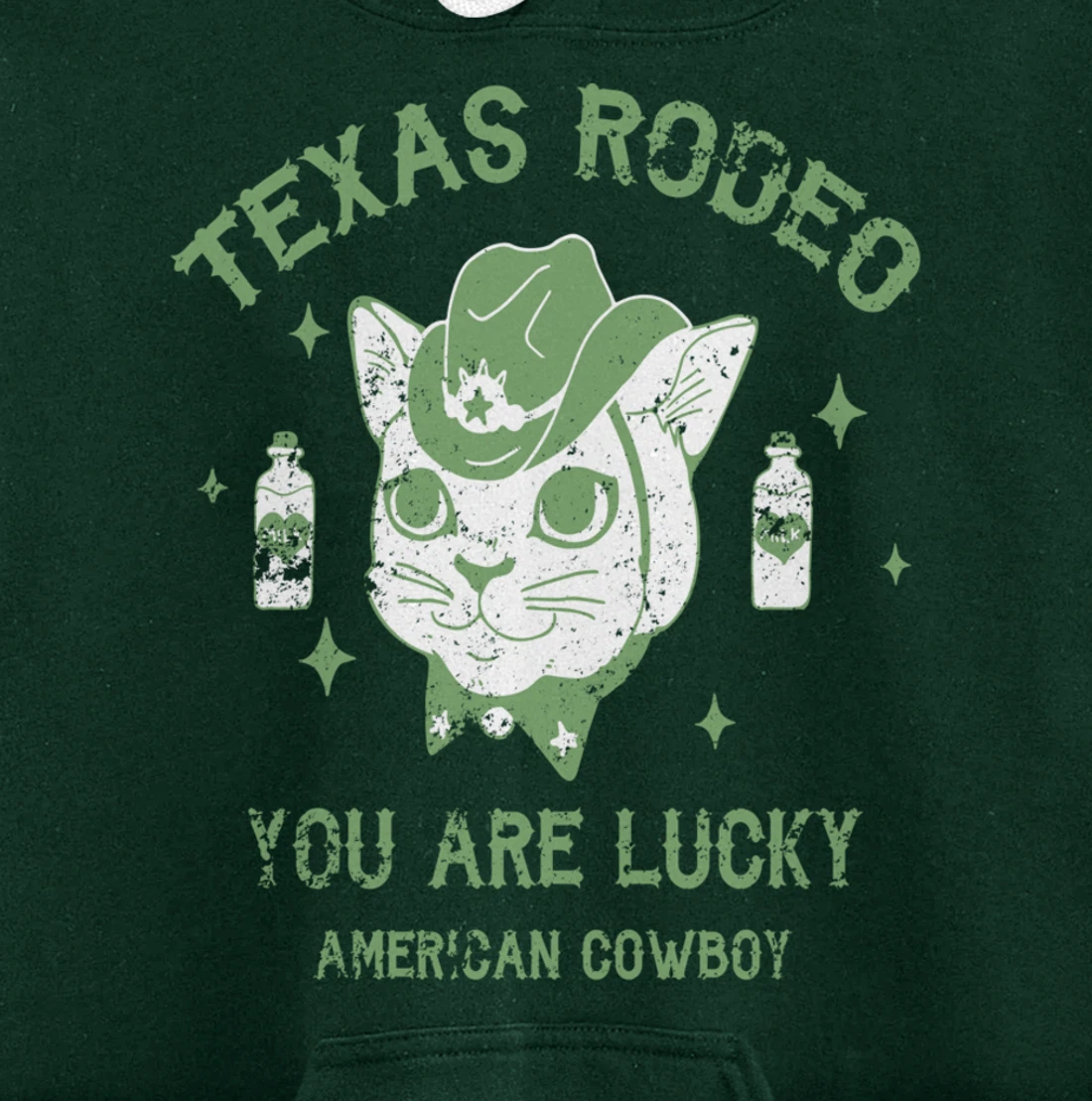 Texas Rodeo Cowboy Cat Modern Fashion Art Pullover Hoodie