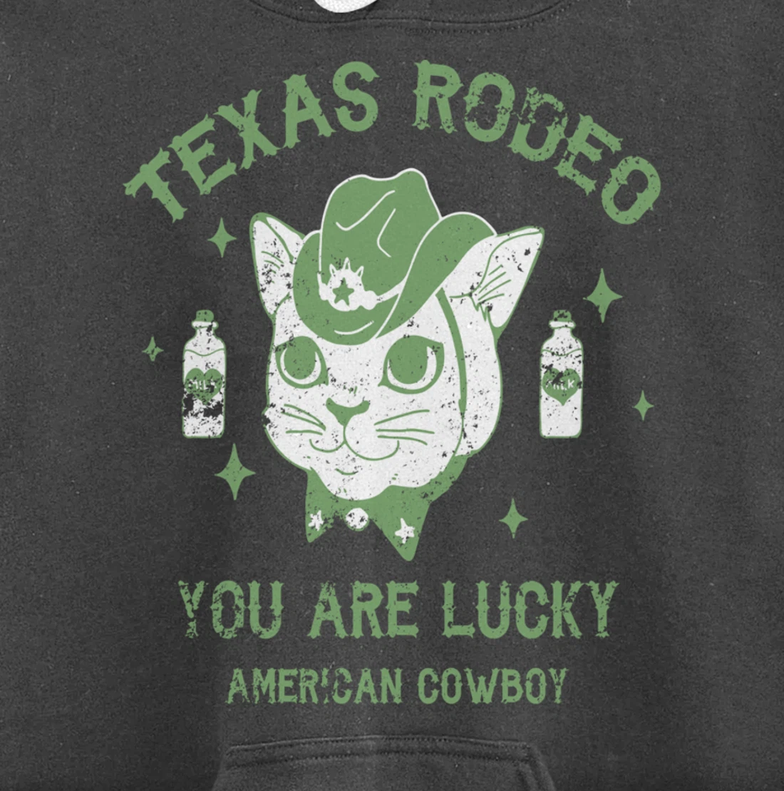 Texas Rodeo Cowboy Cat Modern Fashion Art Pullover Hoodie