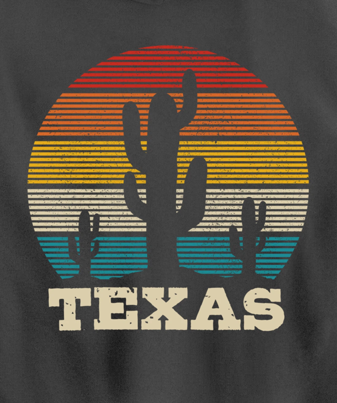 Texas Cactus Vintage Retro Desert Souvenir Gift Pullover Hoodie