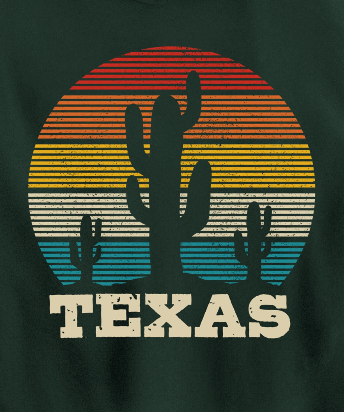 Texas Cactus Vintage Retro Desert Souvenir Gift Pullover Hoodie