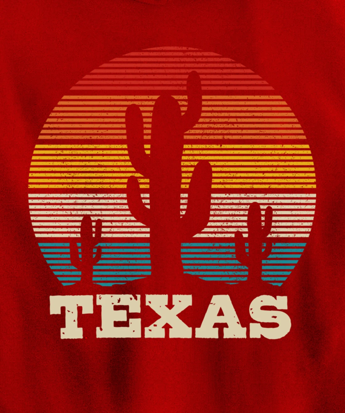 Texas Cactus Vintage Retro Desert Souvenir Gift Pullover Hoodie