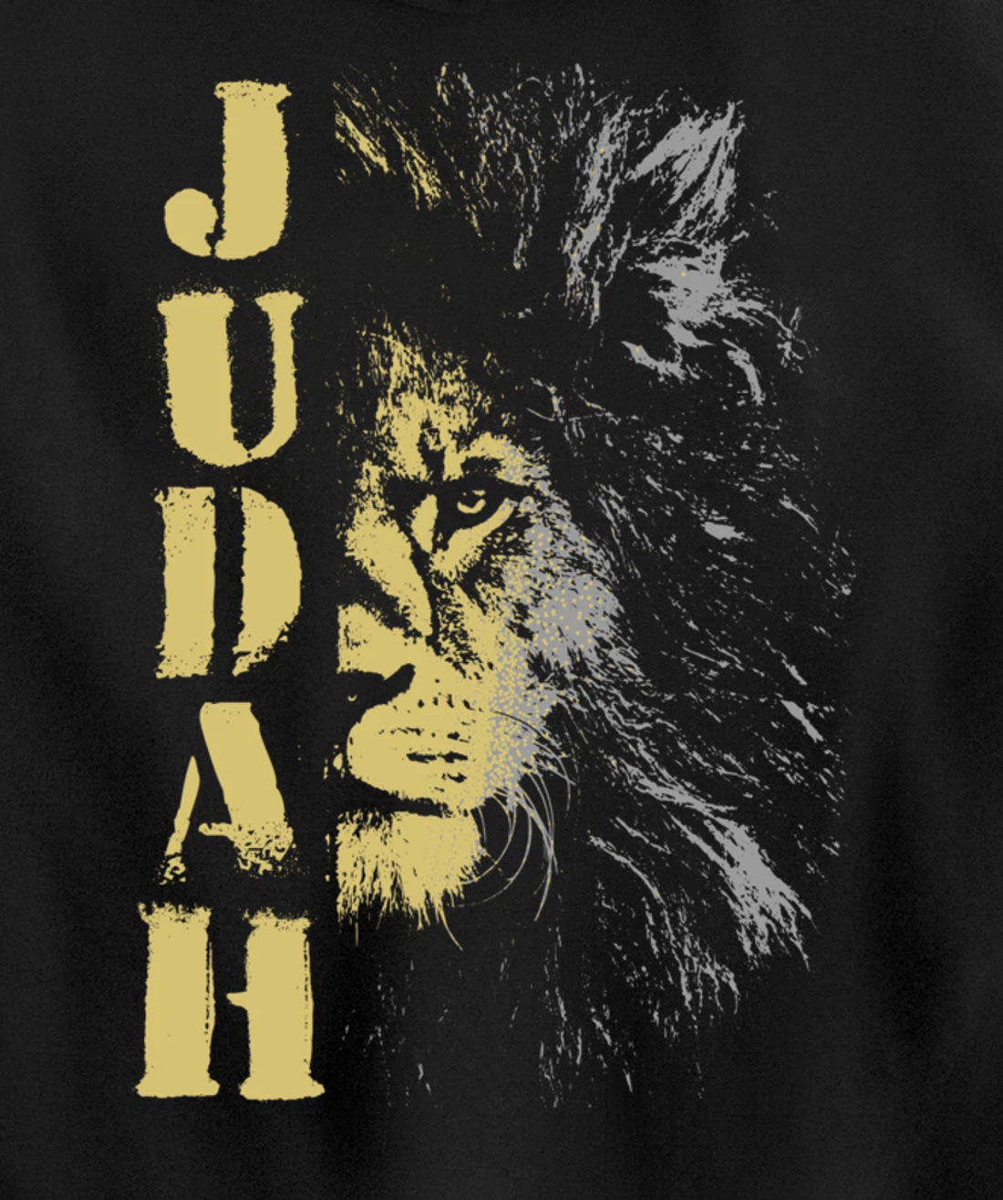 Lion of Judah design, Hebrew Israelite design Pullover Hoodie