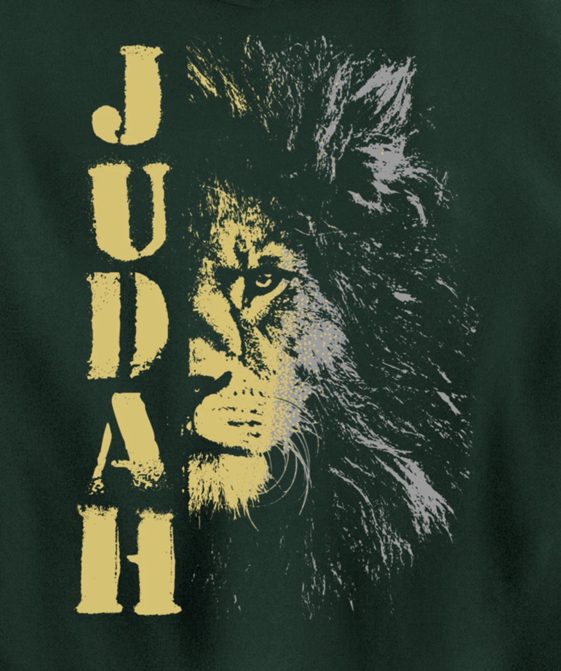 Lion of Judah design, Hebrew Israelite design Pullover Hoodie