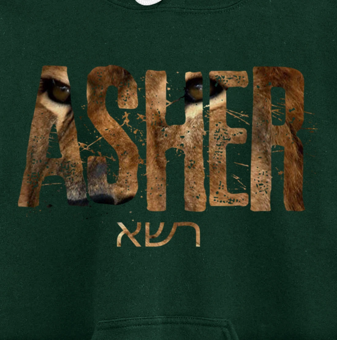 Hebrew Israelite Clothing Tribe Asher Lion Eyes Torah Gift Pullover Hoodie