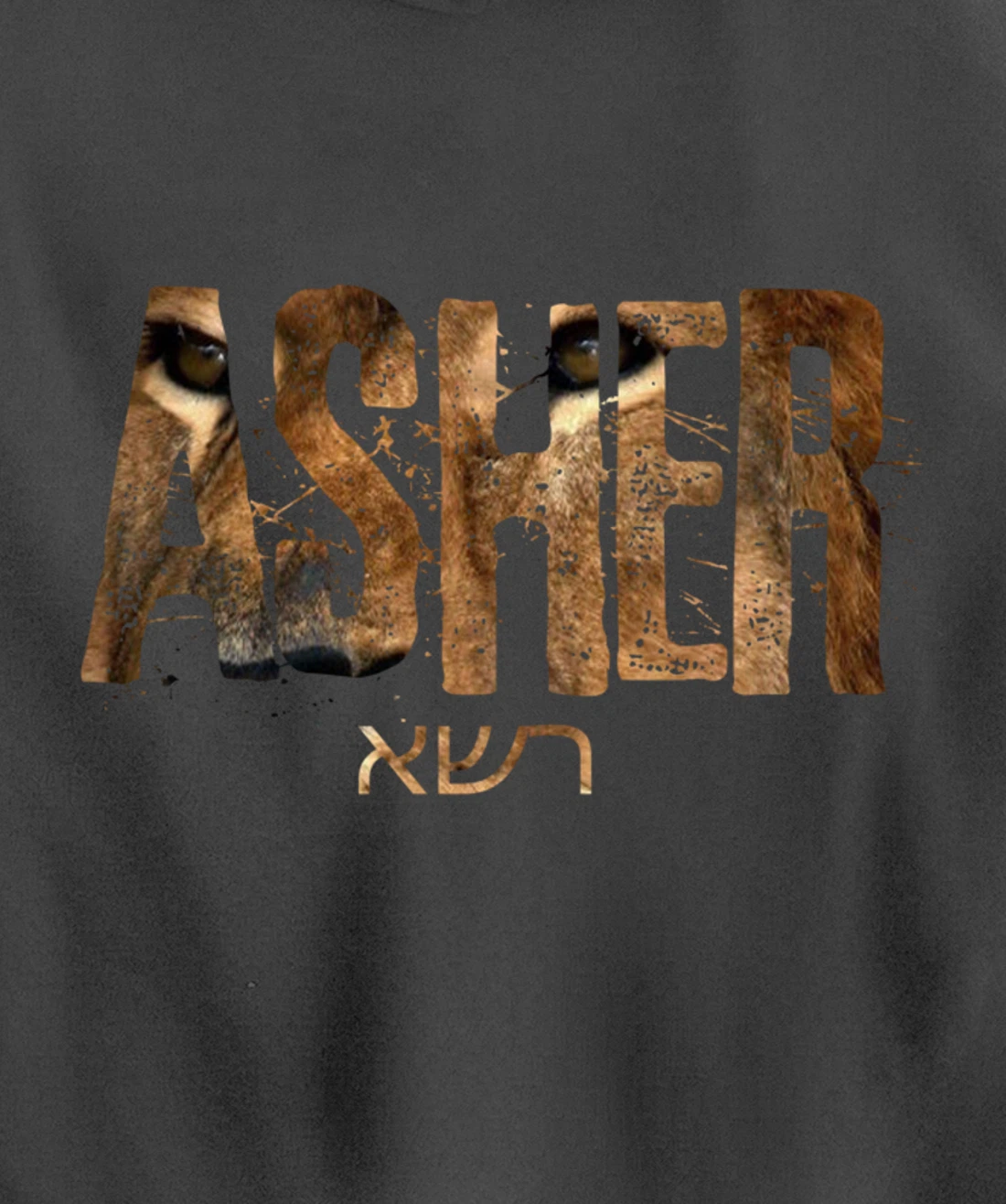 Hebrew Israelite Clothing Tribe Asher Lion Eyes Torah Gift Pullover Hoodie