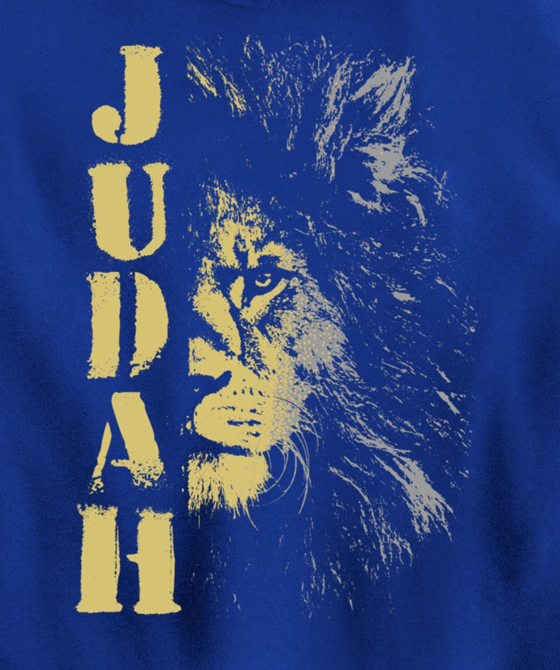 Lion of Judah design, Hebrew Israelite design Pullover Hoodie