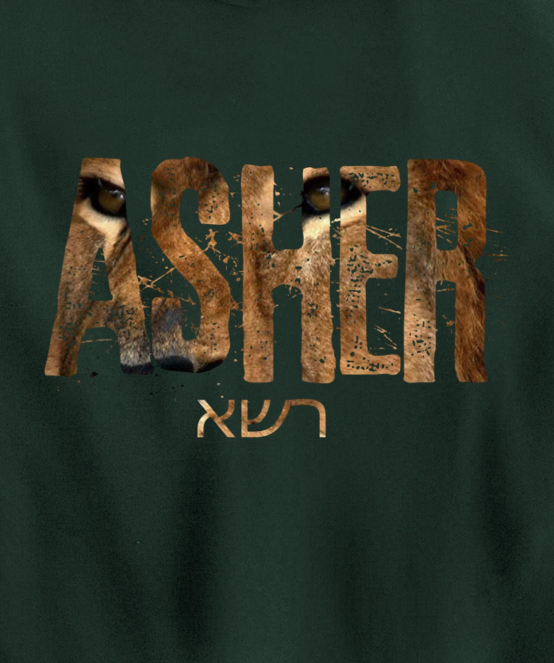 Hebrew Israelite Clothing Tribe Asher Lion Eyes Torah Gift Pullover Hoodie