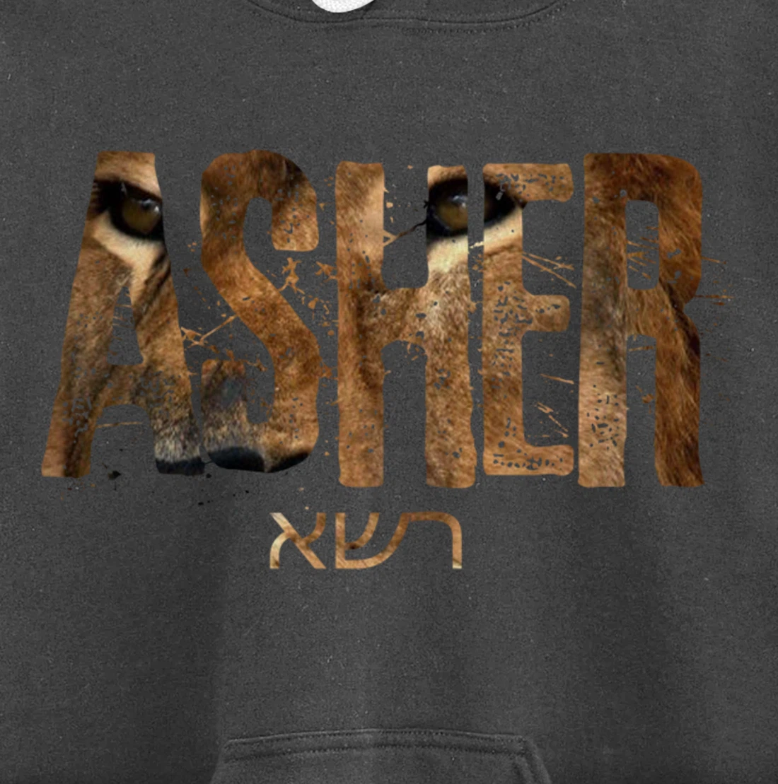 Hebrew Israelite Clothing Tribe Asher Lion Eyes Torah Gift Pullover Hoodie