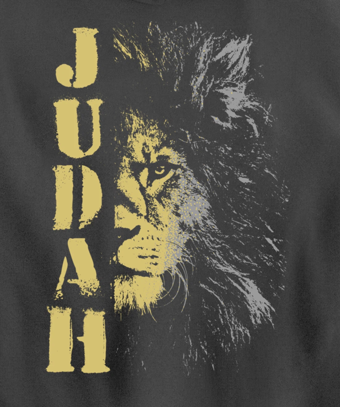 Lion of Judah design, Hebrew Israelite design Pullover Hoodie