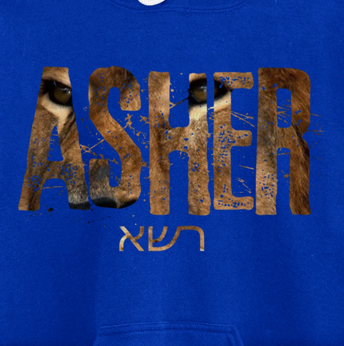 Hebrew Israelite Clothing Tribe Asher Lion Eyes Torah Gift Pullover Hoodie