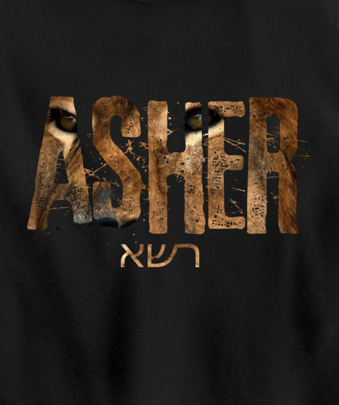 Hebrew Israelite Clothing Tribe Asher Lion Eyes Torah Gift Pullover Hoodie