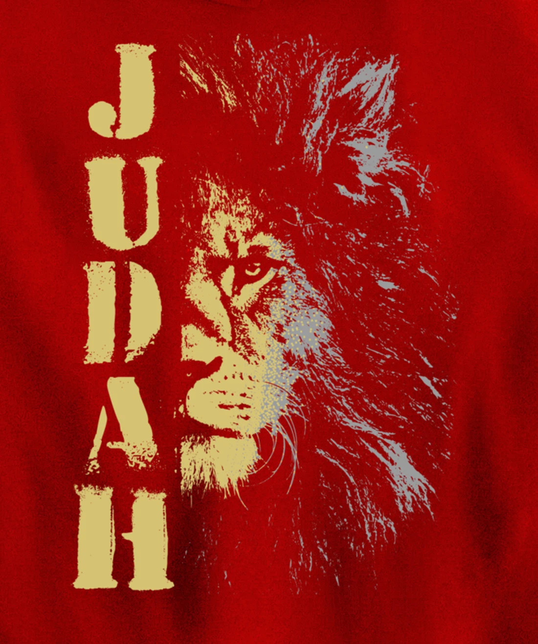 Lion of Judah design, Hebrew Israelite design Pullover Hoodie