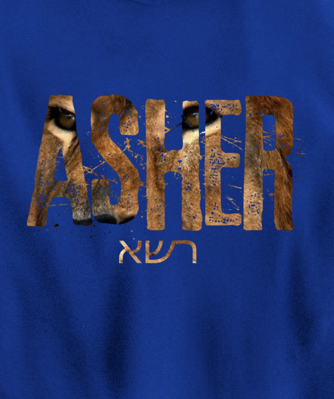 Hebrew Israelite Clothing Tribe Asher Lion Eyes Torah Gift Pullover Hoodie