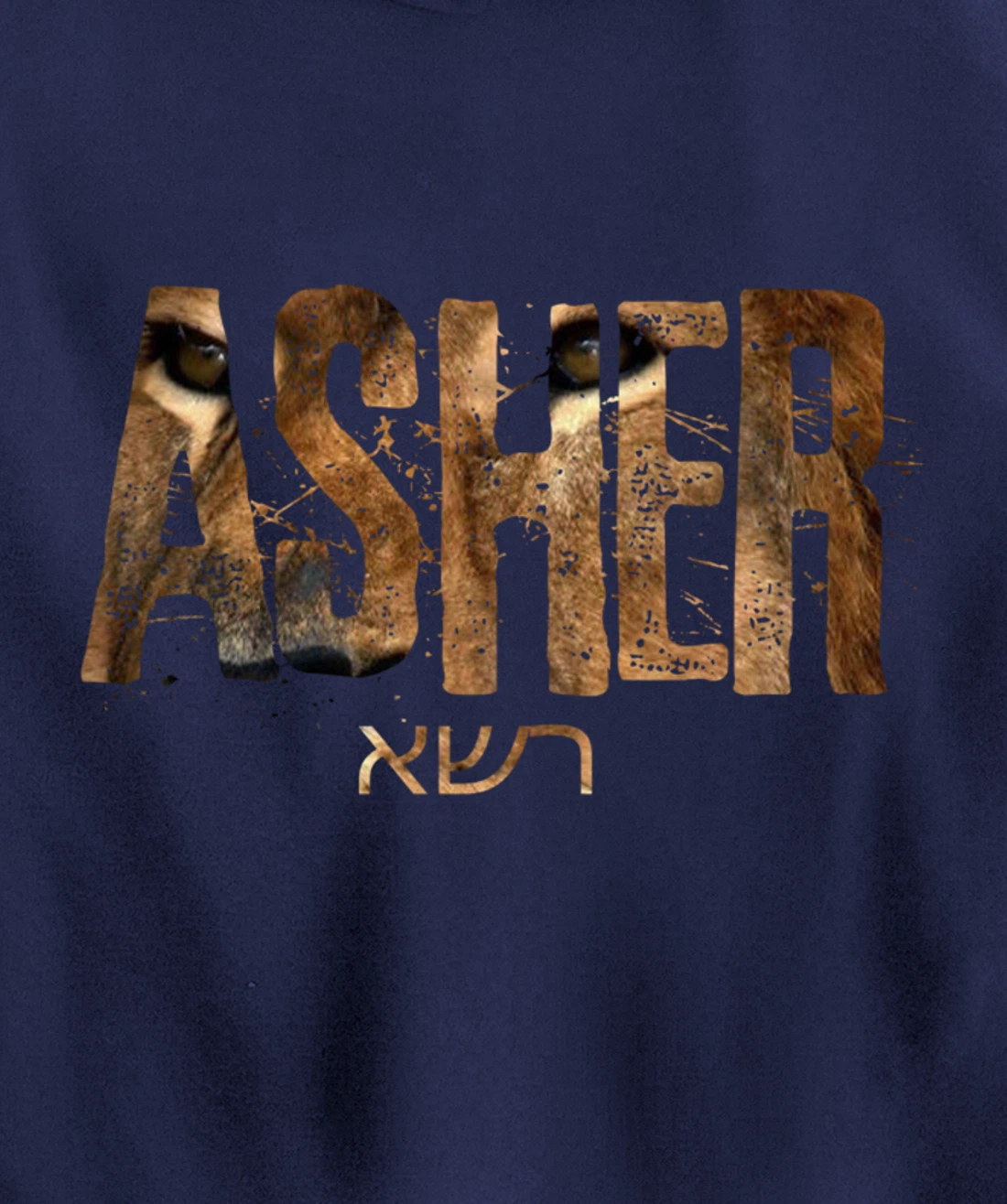 Hebrew Israelite Clothing Tribe Asher Lion Eyes Torah Gift Pullover Hoodie