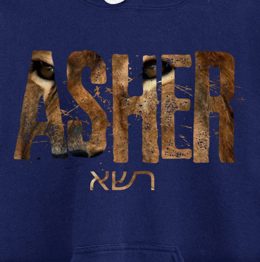 Hebrew Israelite Clothing Tribe Asher Lion Eyes Torah Gift Pullover Hoodie