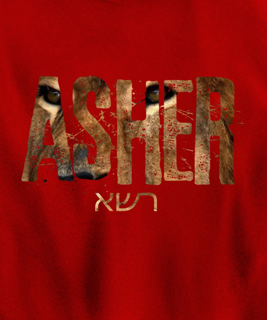 Hebrew Israelite Clothing Tribe Asher Lion Eyes Torah Gift Pullover Hoodie