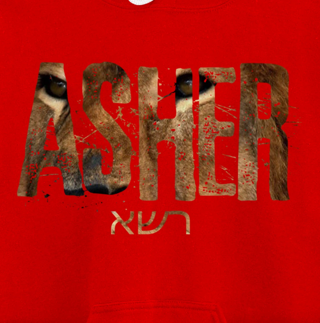 Hebrew Israelite Clothing Tribe Asher Lion Eyes Torah Gift Pullover Hoodie