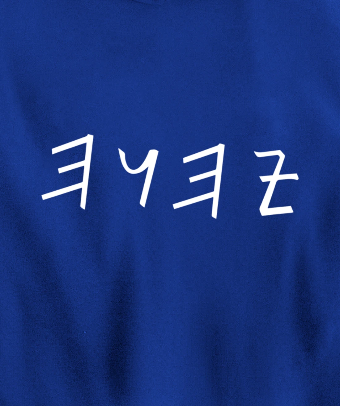 Lion of Biblical name Tribe Hebrew Israelite Messianic Pullover Hoodie