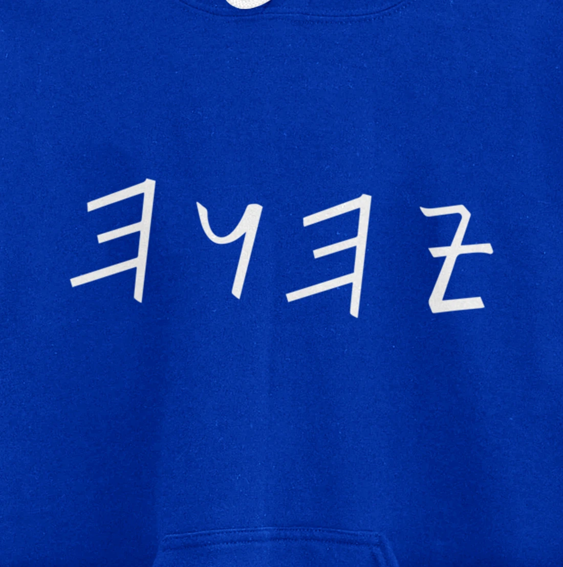 Lion of Biblical name Tribe Hebrew Israelite Messianic Pullover Hoodie