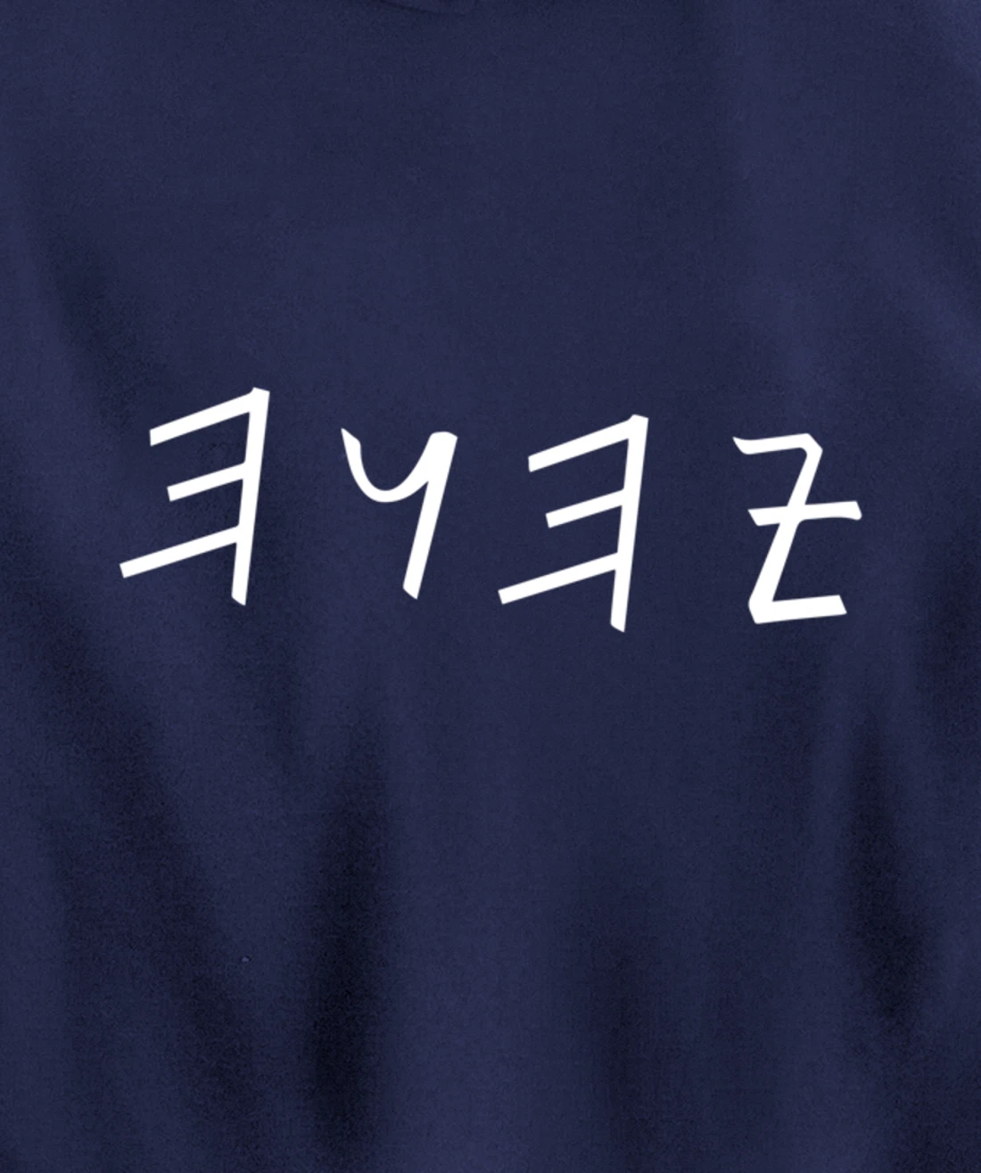 Lion of Biblical name Tribe Hebrew Israelite Messianic Pullover Hoodie