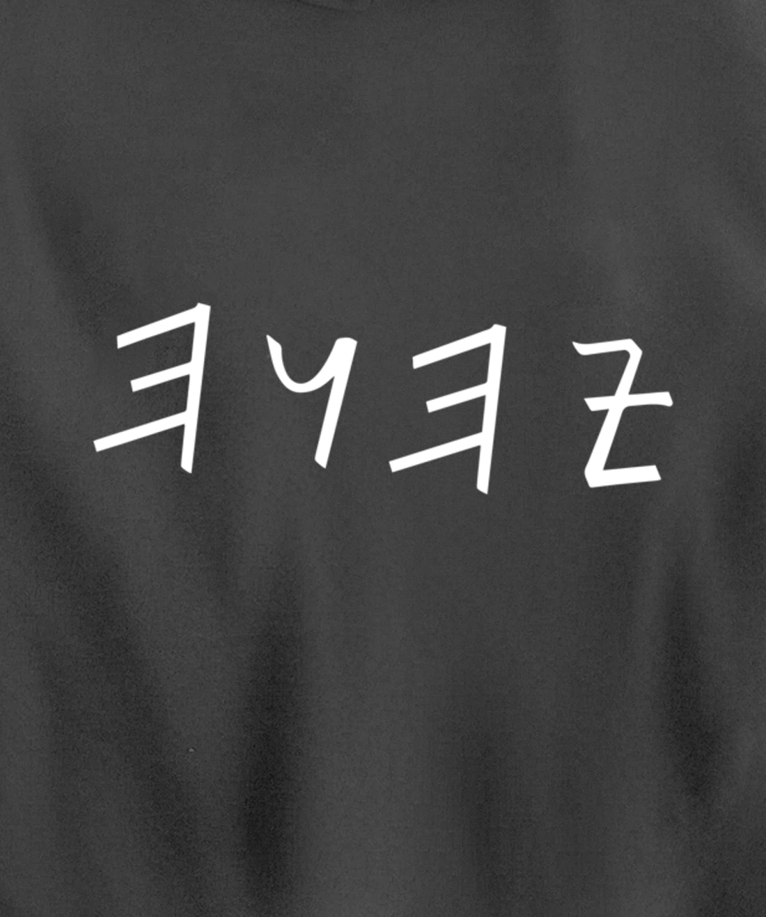 Lion of Biblical name Tribe Hebrew Israelite Messianic Pullover Hoodie