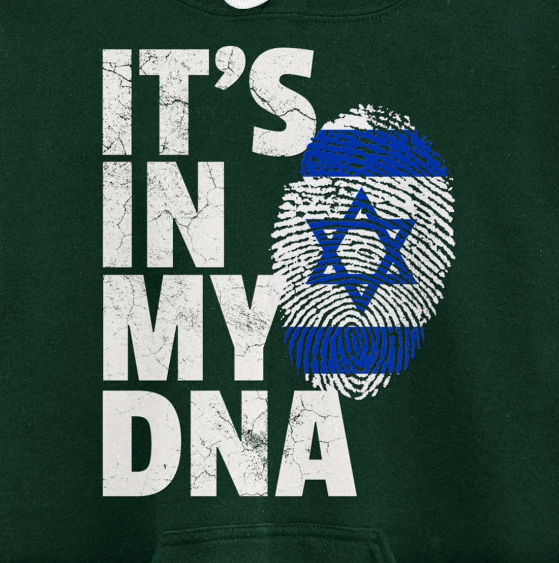 IT'S IN MY DNA Israeli Israel Flag National Pride Roots Gift Pullover Hoodie