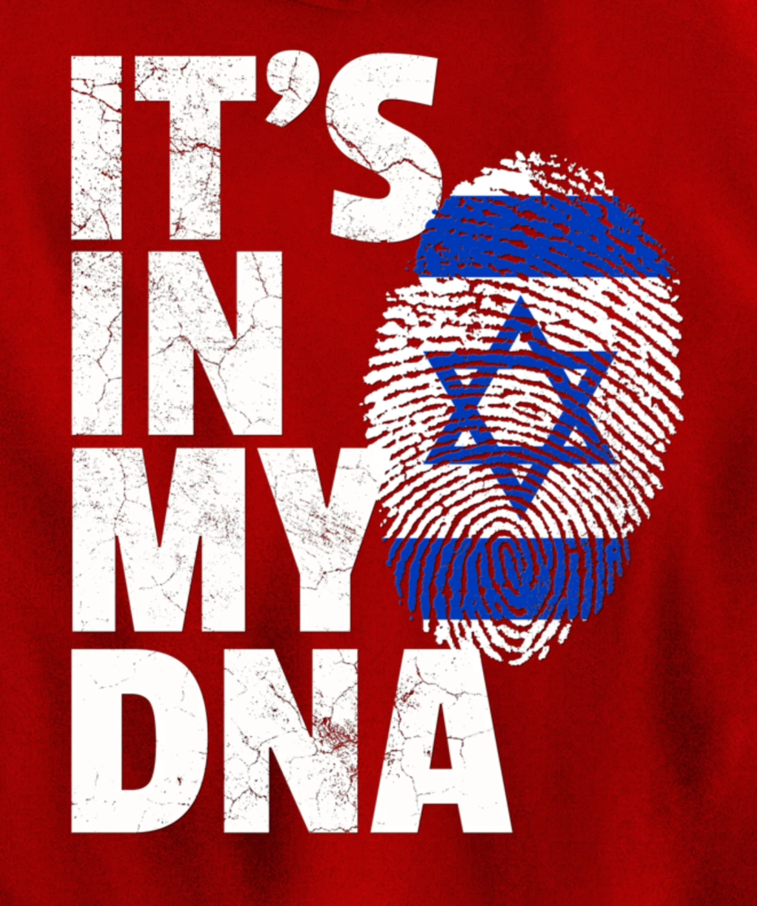 IT'S IN MY DNA Israeli Israel Flag National Pride Roots Gift Pullover Hoodie