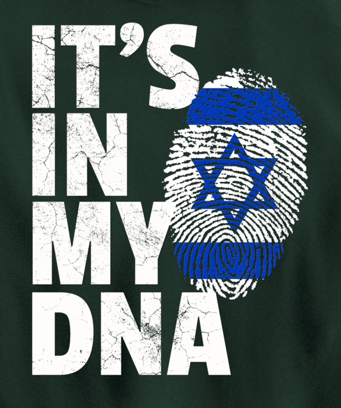 IT'S IN MY DNA Israeli Israel Flag National Pride Roots Gift Pullover Hoodie