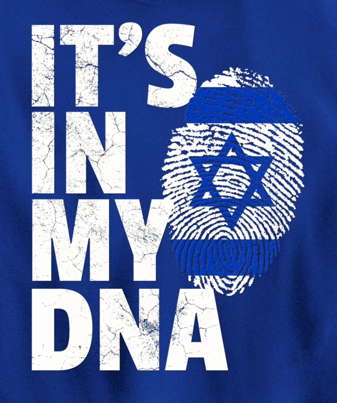 IT'S IN MY DNA Israeli Israel Flag National Pride Roots Gift Pullover Hoodie