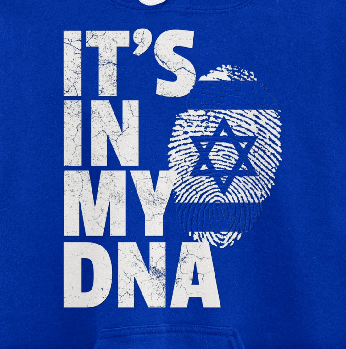 IT'S IN MY DNA Israeli Israel Flag National Pride Roots Gift Pullover Hoodie