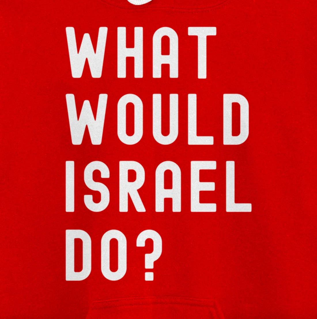 What Would Israel Do? Pullover Hoodie