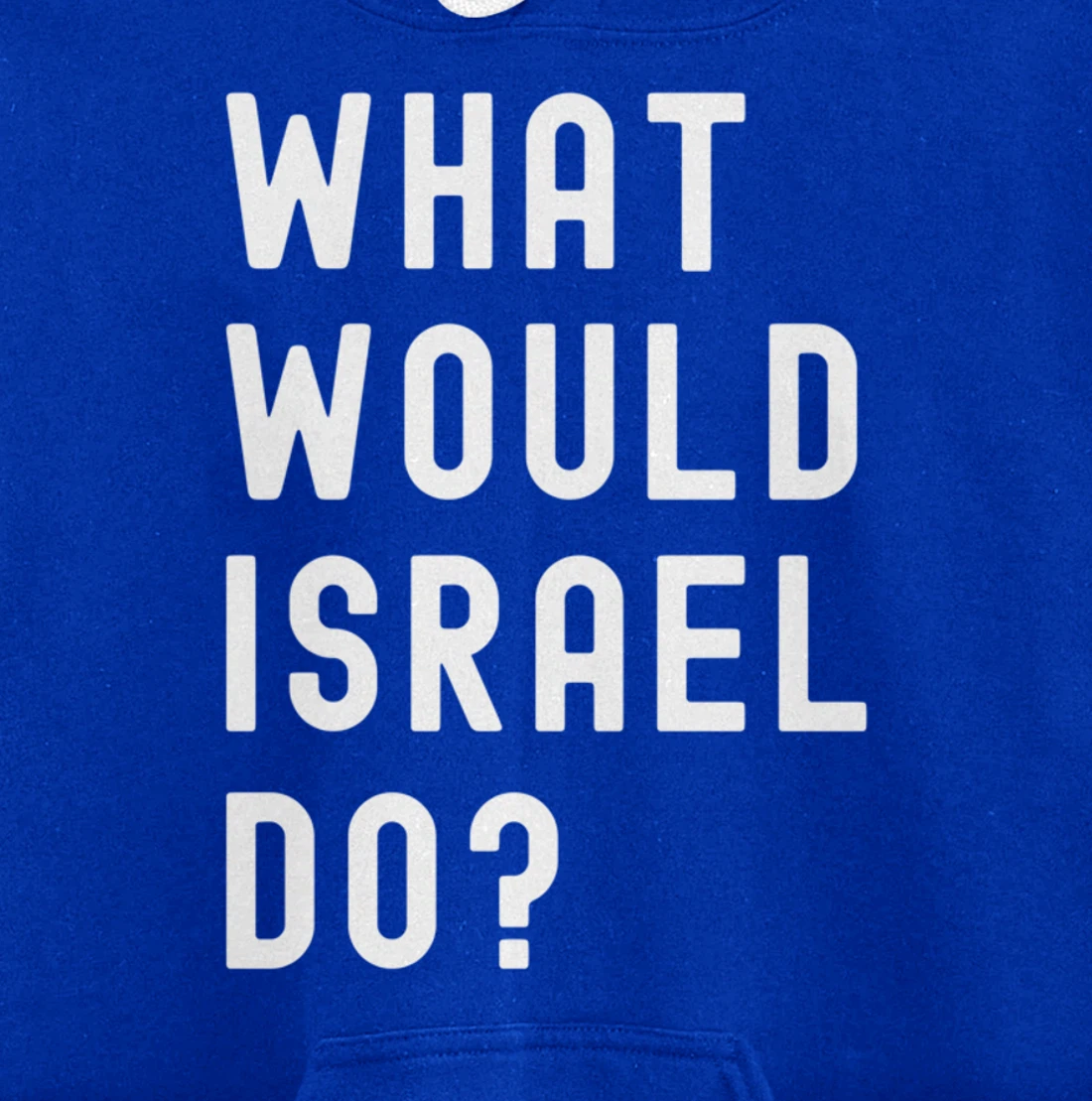 What Would Israel Do? Pullover Hoodie