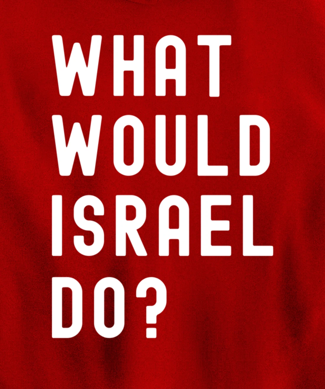 What Would Israel Do? Pullover Hoodie