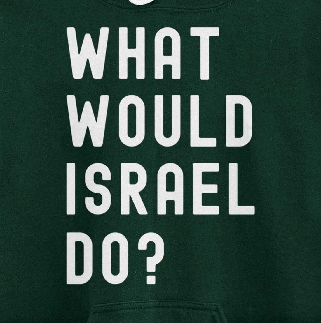 What Would Israel Do? Pullover Hoodie