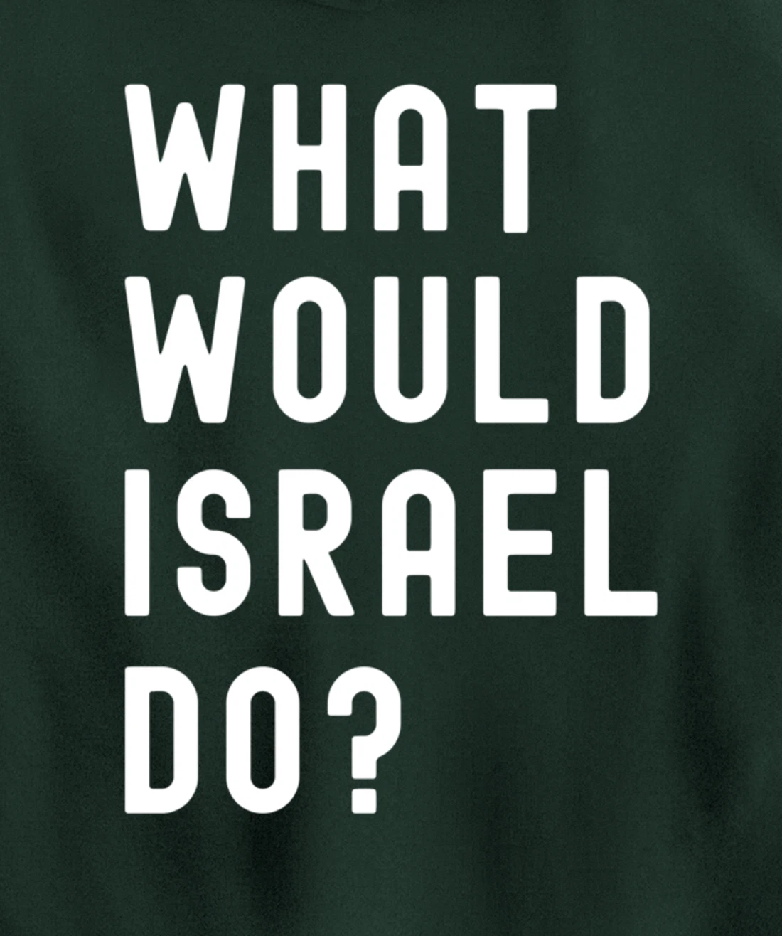 What Would Israel Do? Pullover Hoodie