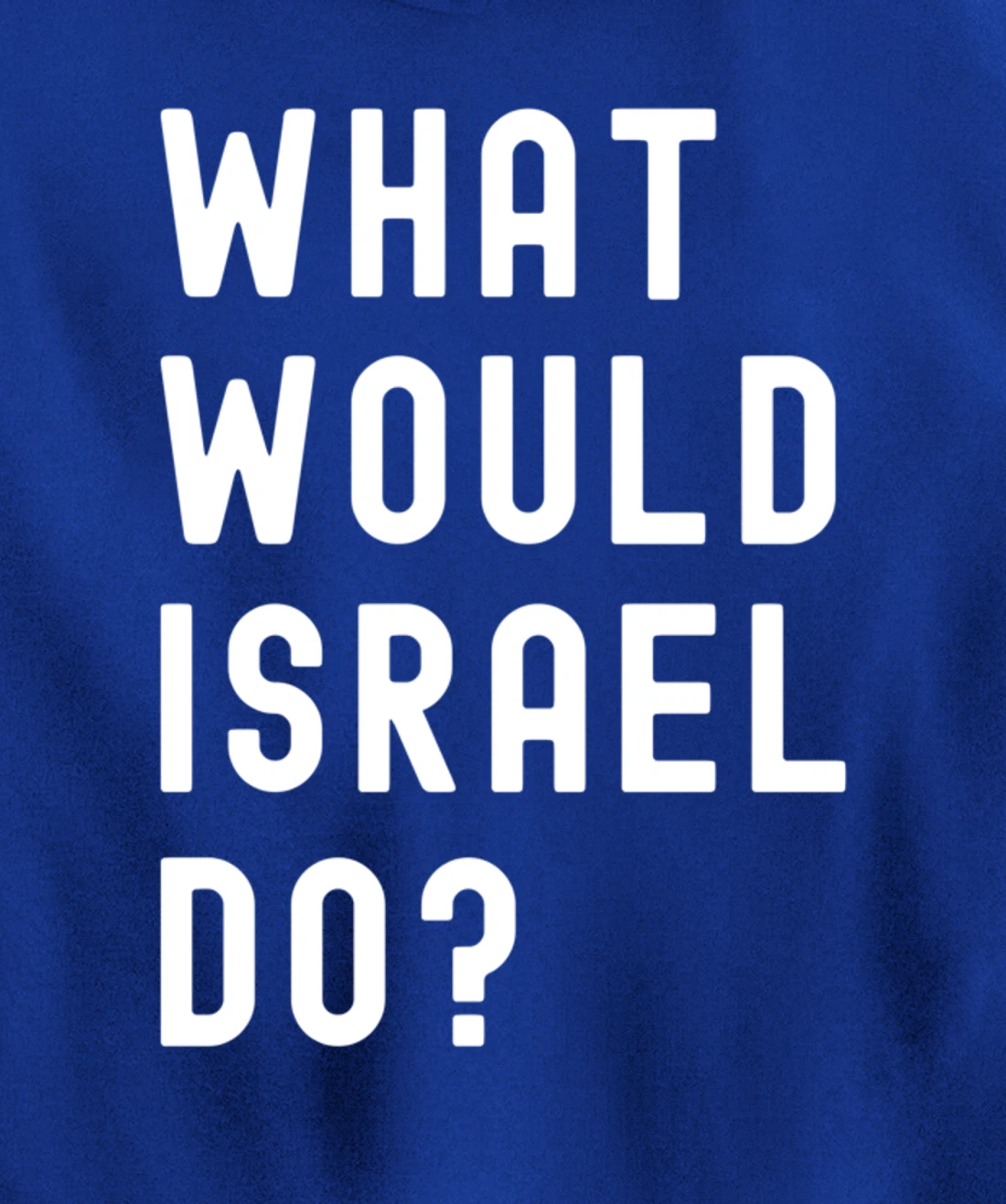 What Would Israel Do? Pullover Hoodie