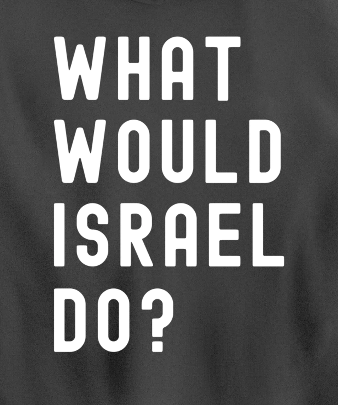 What Would Israel Do? Pullover Hoodie