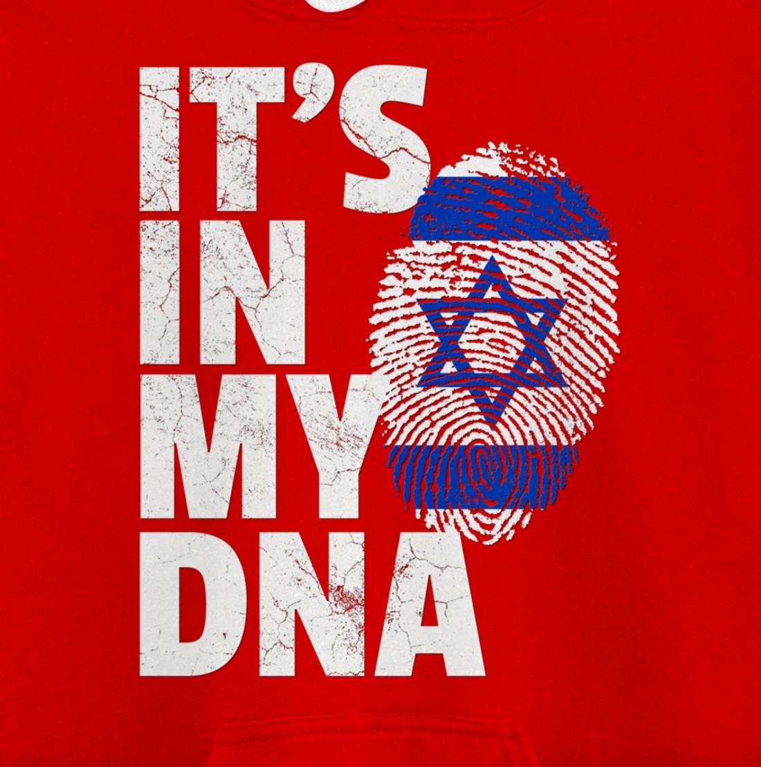 IT'S IN MY DNA Israeli Israel Flag National Pride Roots Gift Pullover Hoodie