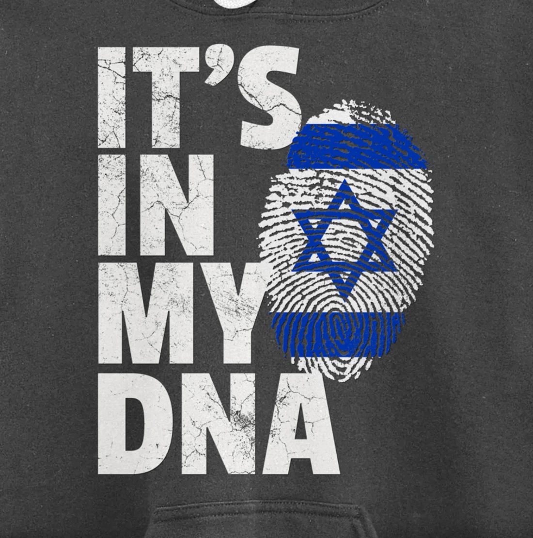 IT'S IN MY DNA Israeli Israel Flag National Pride Roots Gift Pullover Hoodie