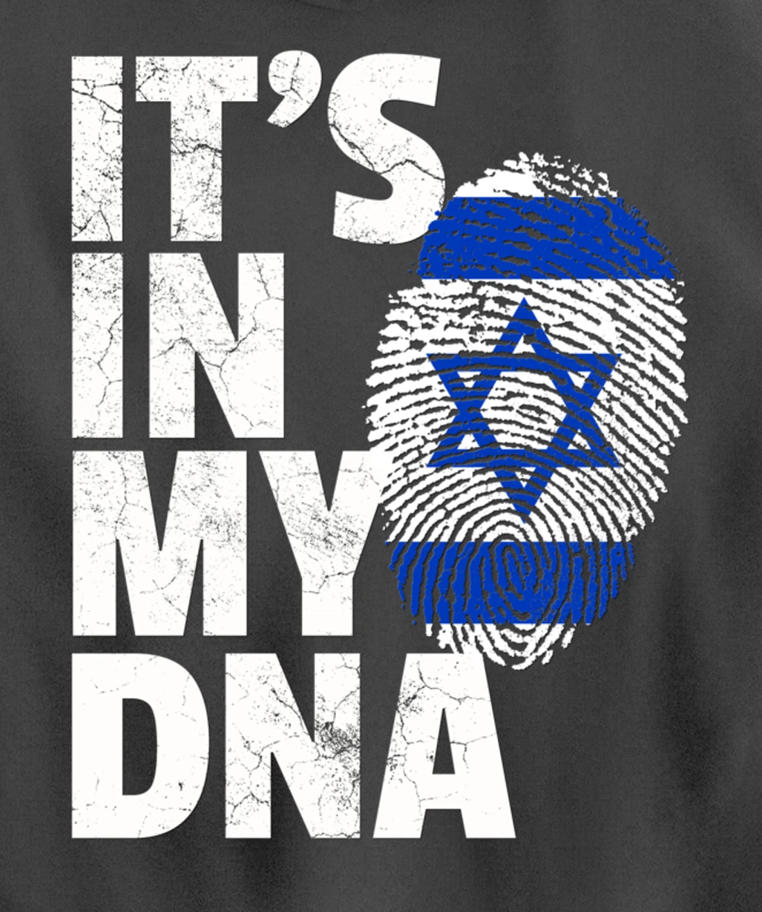 IT'S IN MY DNA Israeli Israel Flag National Pride Roots Gift Pullover Hoodie