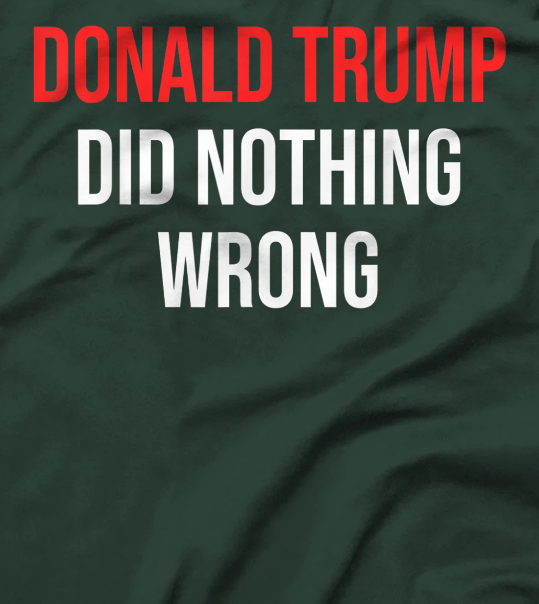 Donald Trump Did Nothing Wrong For Trump Supporters T-Shirt