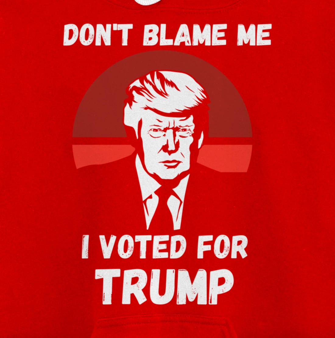 Don’t Blame Me I Voted Trump, Patriotic Pro Donald Trump Pullover Hoodie